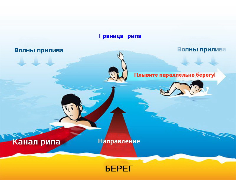 правила поведения в отбойном течении